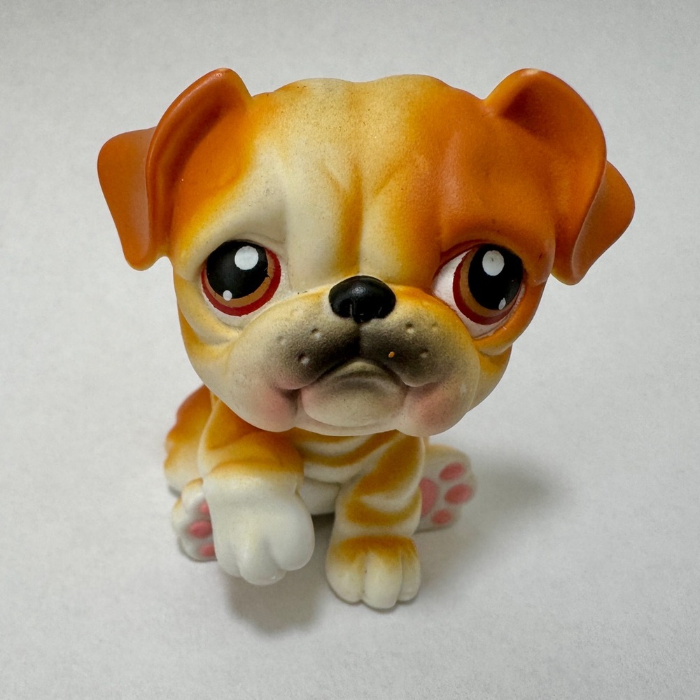 Authentic Littlest Pet Shop LPS English BULLDOG #46 Tan Orange with Brown Eyes